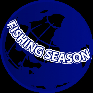 Воблер Tsuribito Deep Chok Long 80F col.H-208R Chart Серебристый Оранжевый Belly