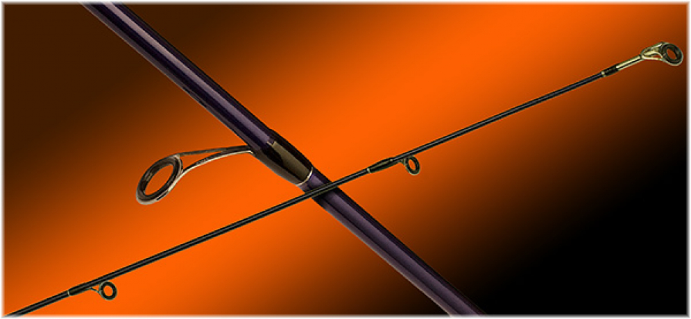 Solpara banner RINGS.jpg